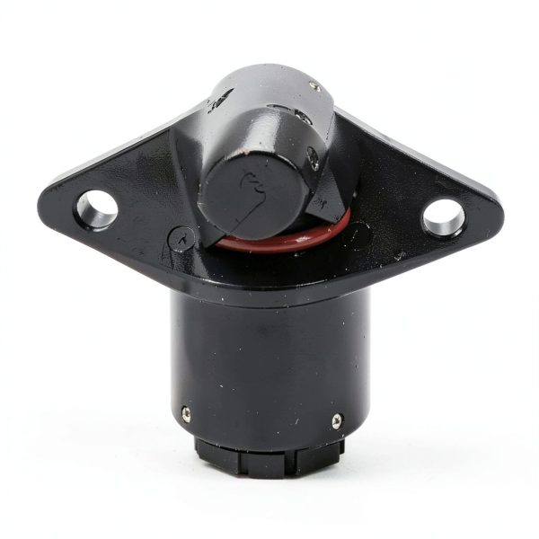 Tesnaao Idle Control Valve for King Kong Motors-1